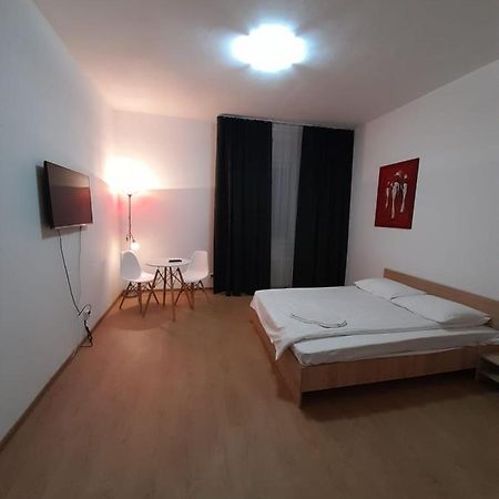 Piata Unirii- 1 Room Studio Apartment Timişoara Eksteriør billede